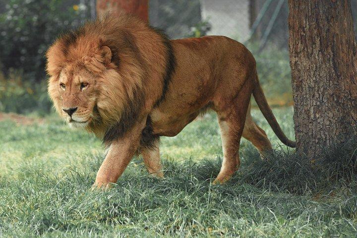 5 days Amboseli Tsavo National Park