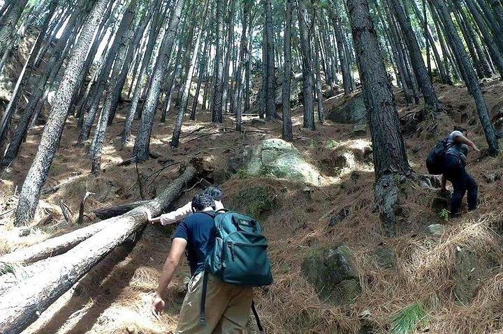 Trekking to The Highest Waterfall in Sri Lanka from Ella