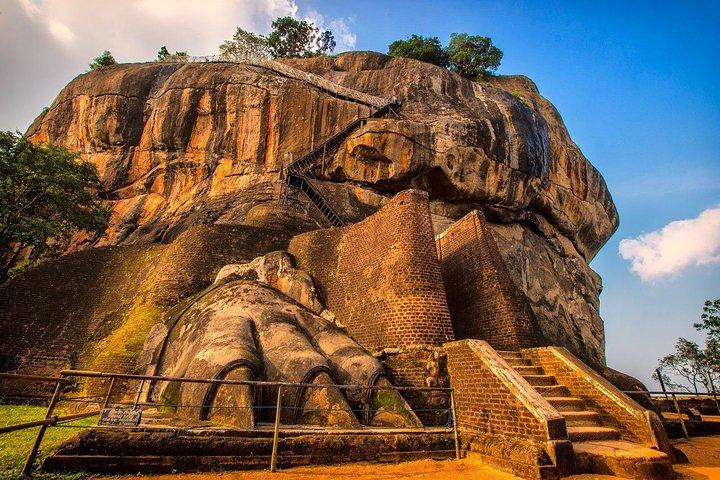Minneriya National Park ( All Inclusive ) and Sigiriya Day Excursion
