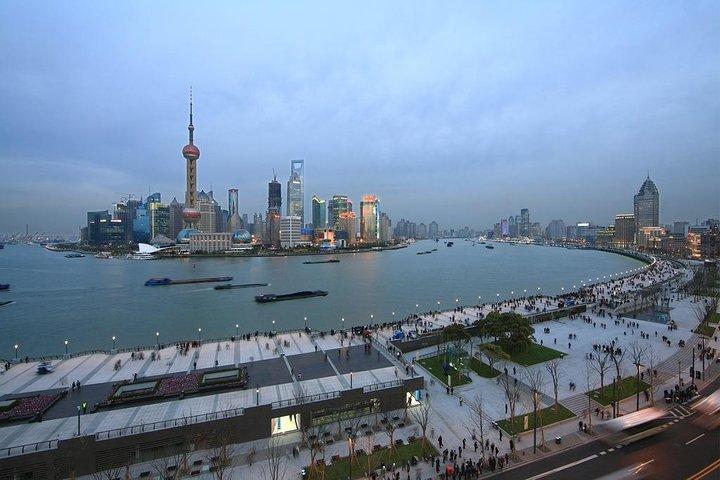 Private Tour with Shanghai Tower, Shanghai Zoo and Nanjing Road plus Xiaolongbao