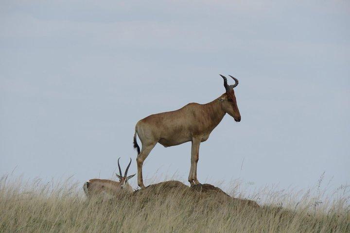 3 Days Tanzania Classic Adventure
