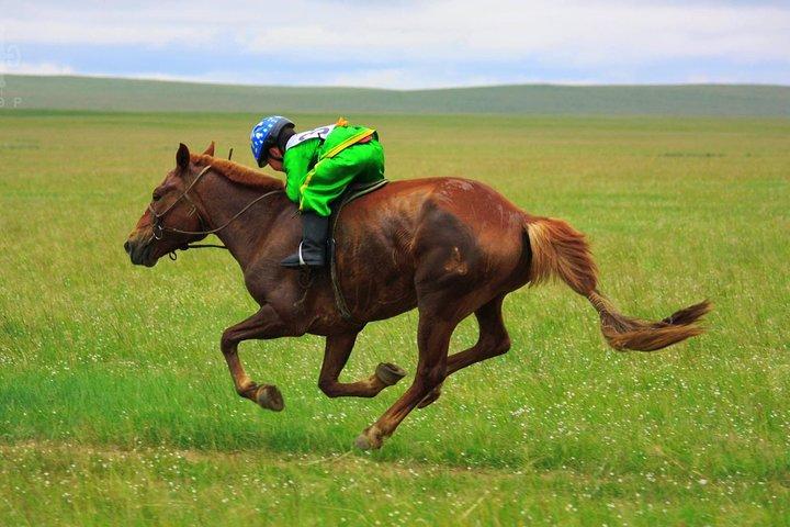 2 Day Naadam Festival Tour July 11-12, 2026