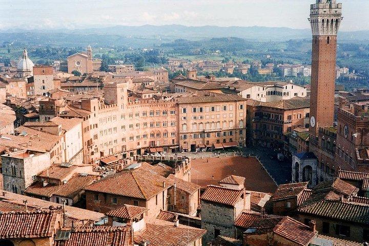 Private 8 hours Tour to Siena and San Gimignano from Florence