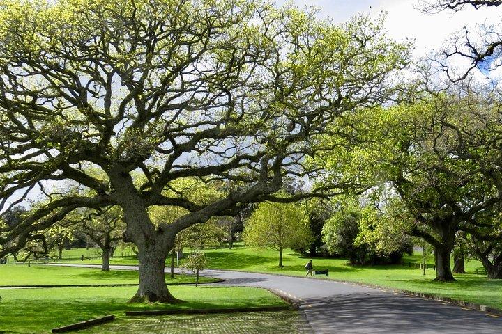 Auckland City Private Tour for Couples. Be chauffeur driven with added extras.