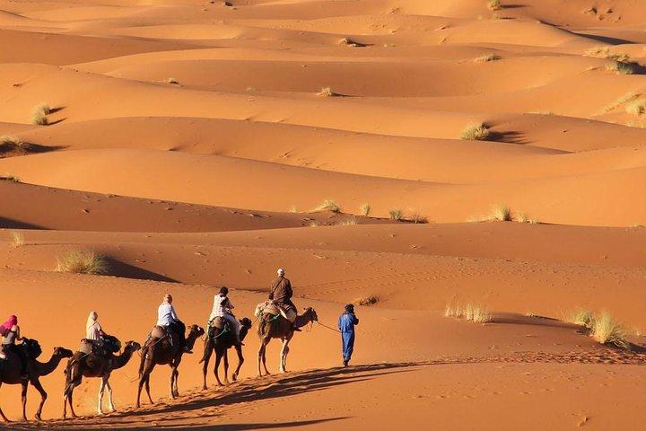 Tour 3 Days 2 Nights To Merzouga Desert from Marrakech