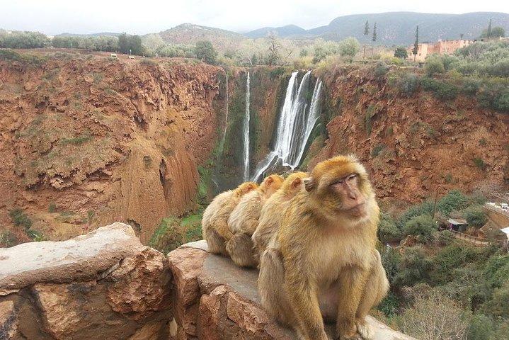 Marrakech To Waterfalls Ouzoud Day trip