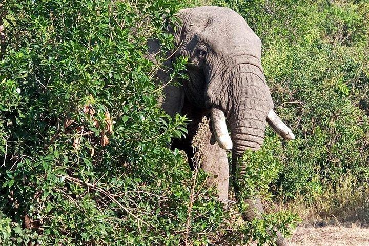 3 Days Amboseli National Park