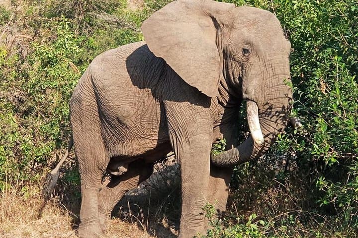 3 Days Amboseli National Park