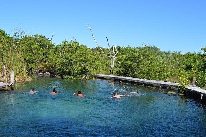 Discover the Wonders of Holbox, Cenote and Passion Island. Transport included