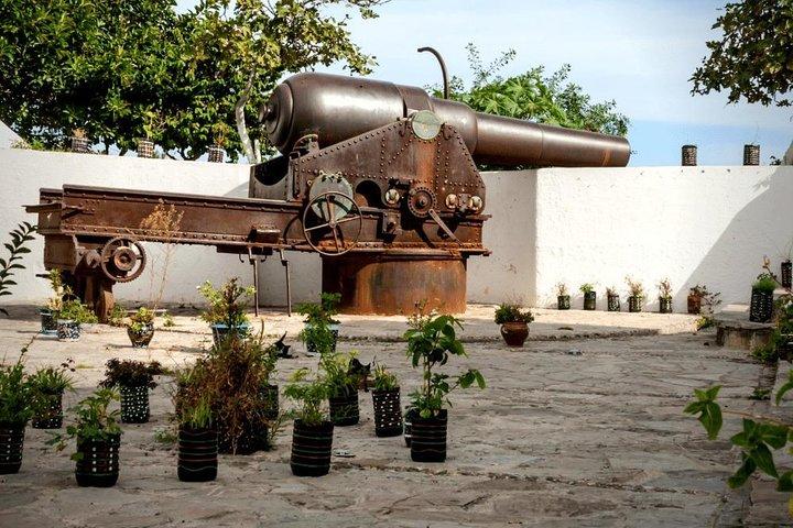 Tangier Medina & Kasbah Guided Walking Tour (4 Hours) | Tangier Walking Tour