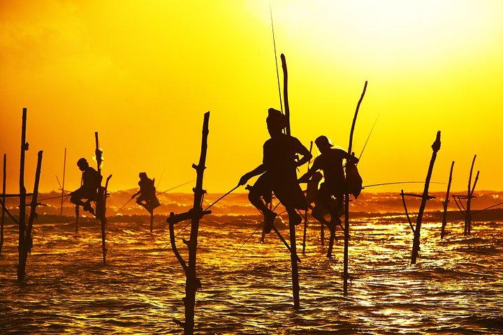 Southern Sri Lanka Sightseeing Private Day Trip