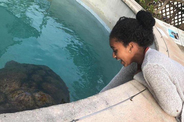 Bermuda Gems and Private Resort Beach Day Experience
