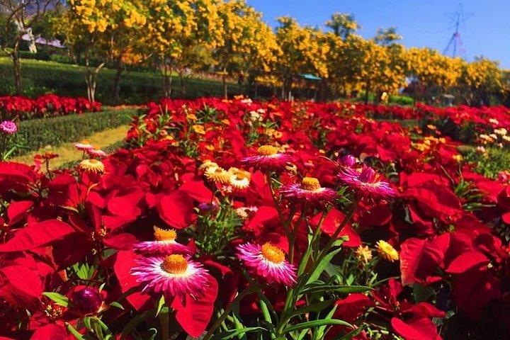 Khao Yai national Park day tour from Bangkok