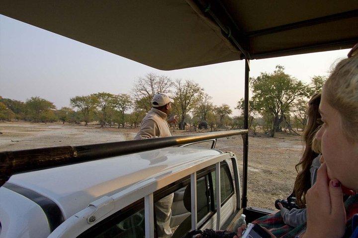 Game Drive in Mosi-Oa-Tunya National Park