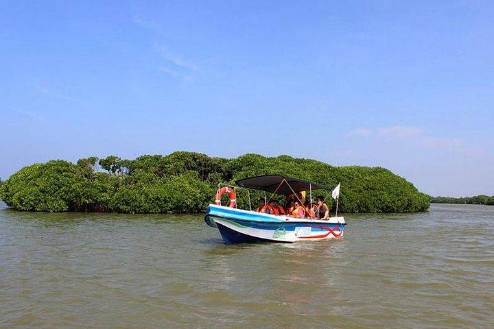 Muthurajawela Bird Watching Boat Tour