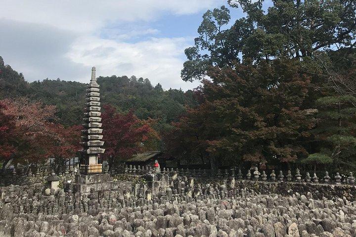 Kyoto: Descending Arashiyama (Private)