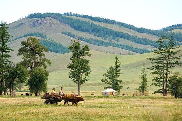 A day trip to Terelj National Park and Statue of Chinggis Khan