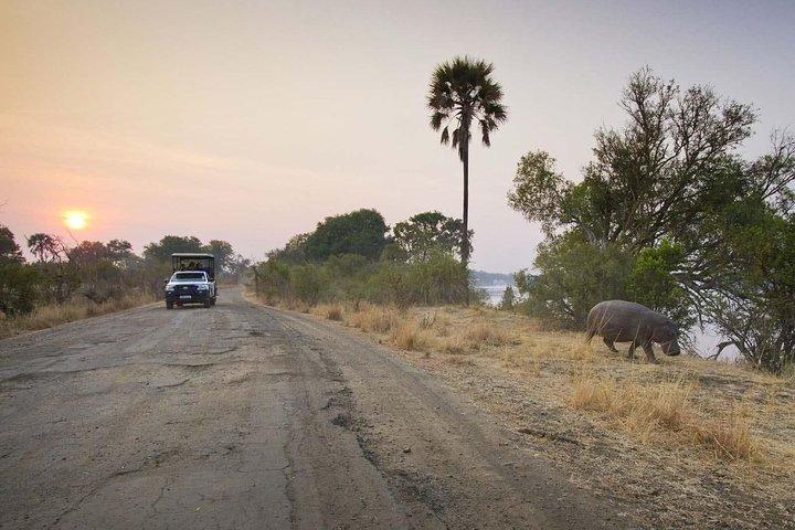 Game Drive in Mosi-Oa-Tunya National Park