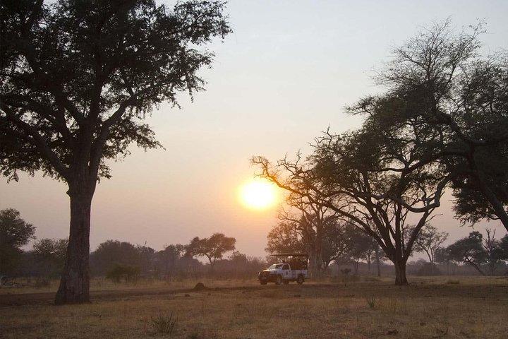 Game Drive in Mosi-Oa-Tunya National Park