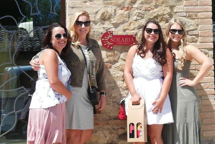 Full-Day 2 Wineries Tour in Montepulciano with Tasting and Lunch