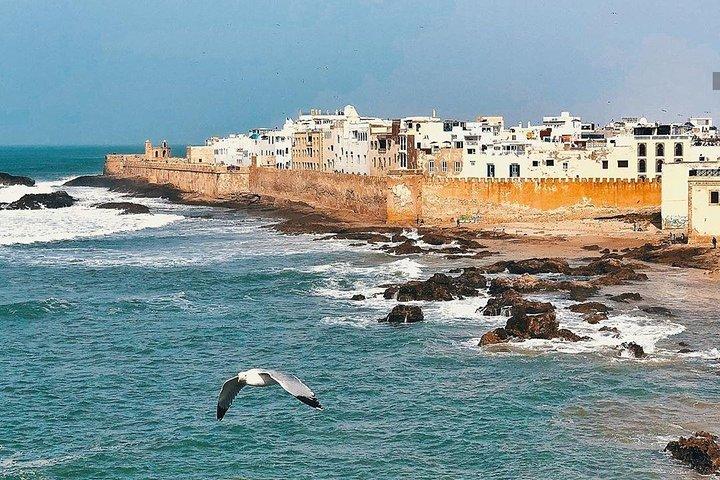 From Marrakesh: Full Private Day Tour To Essaouira Mogador