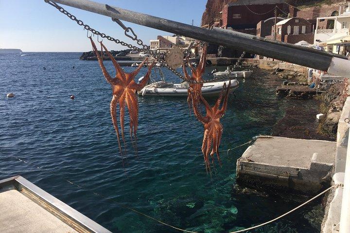 Half Day Santorini Sightseeing Shore Excursion Tour