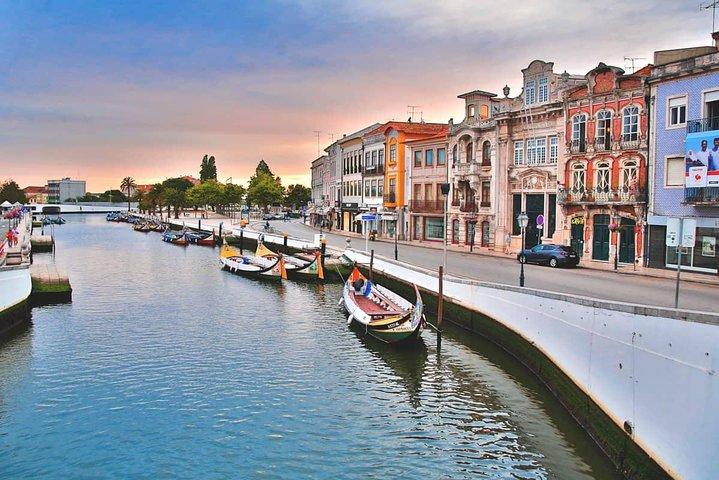 Private Tour Porto / Aveiro * Private Tours *