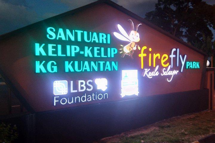 Private Tour Batu Caves,Wonderful Fireflies,Eagles and Silvered Leaf Monkey