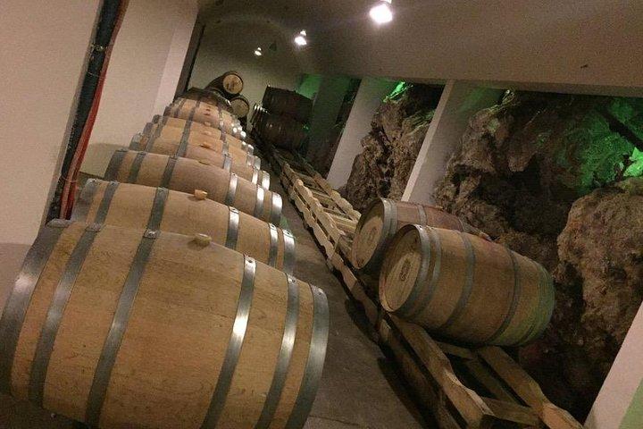 Dubrovnik Bosnia-Herzegovina Half-Day Wine Tour with Tastings