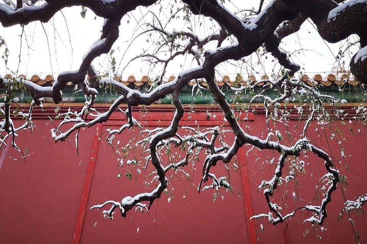 Half Day Beijing Group Tour to Tiananmen Square and Forbidden City