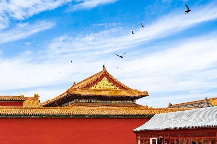 Half Day Beijing Group Tour to Tiananmen Square and Forbidden City