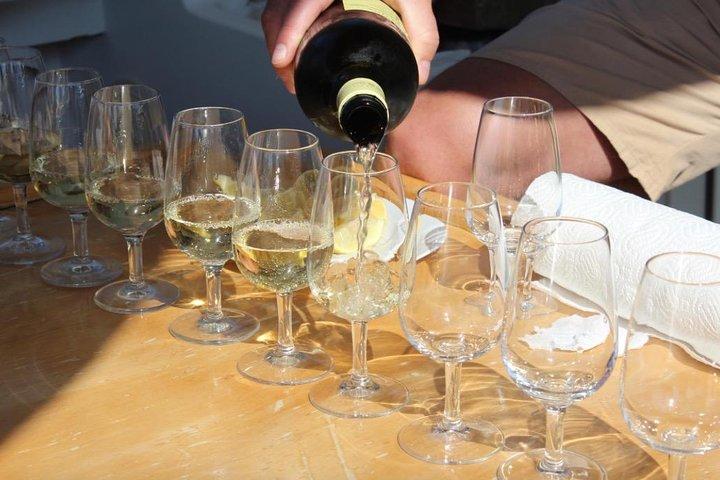 Classic Tour with Wine Tastings from Dubrovnik