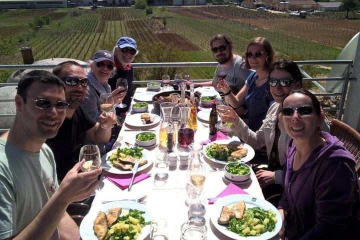 Dubrovnik Bosnia-Herzegovina Half-Day Wine Tour with Tastings