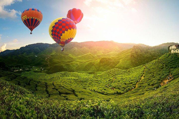 2D1N Nature & Heritage: Cameron Highlands, Ipoh & Fireflies Tour
