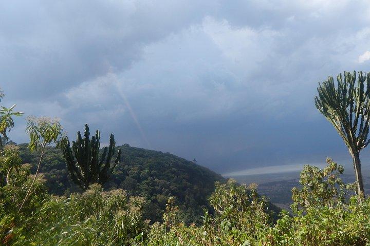 4 days Tarangire, Serengeti & Ngorongoro