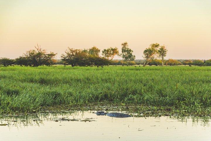 Yellow Water Cruise - Kakadu