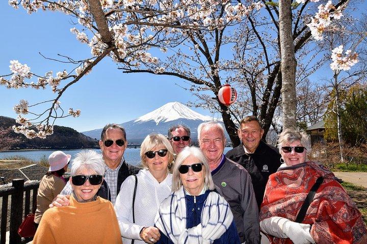 Mt. Fuji & Hakone day tour from Tokyo by car with JP local guide