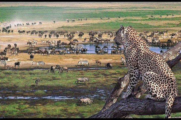 2 Days 1 Night Camping Safari Tarangire Ngorongoro Crater