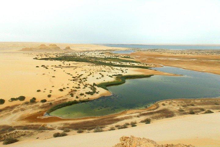 2-Days White Desert Adventure at Bahariya Oasis in Egypt