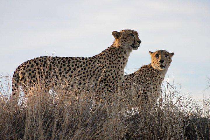 3 Day Kruger National Park tour
