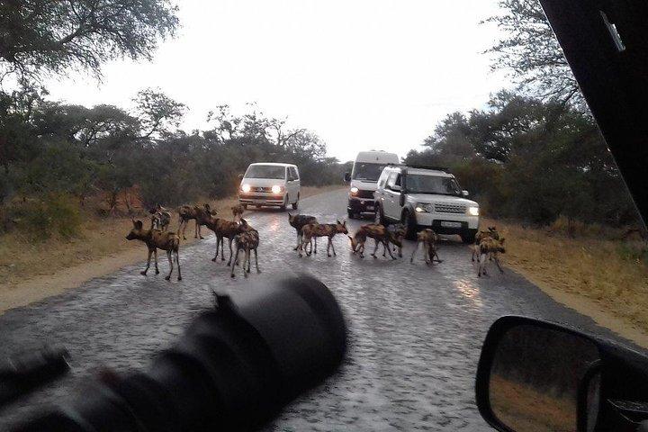 3 Day Kruger National Park tour