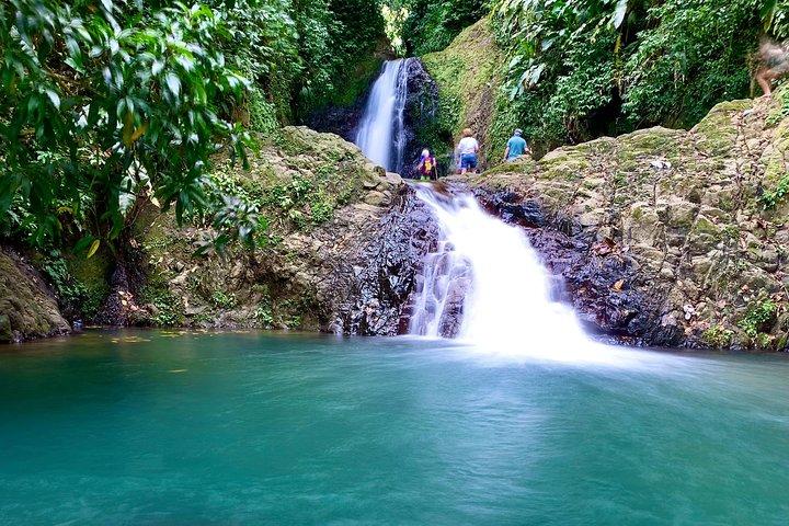 Seven Sisters Falls Hike / Annandale Falls / Grand Etang National Park & Lake