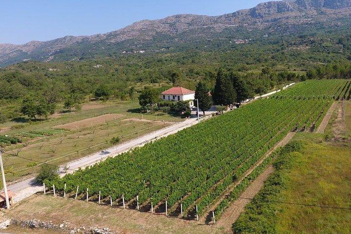 Flavours of Konavle: Wine, Food & Village Life Experience