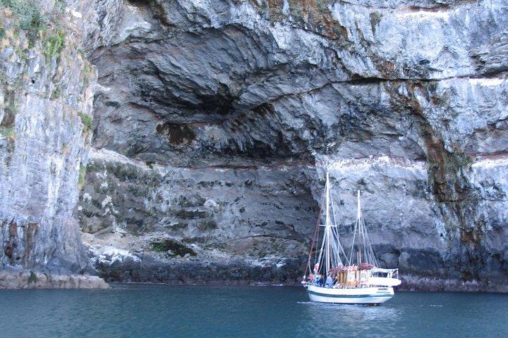 Sailing and Wildlife Tour Akaroa Fox II Sailing