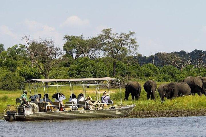 Chobe Day Trip from Livingstone