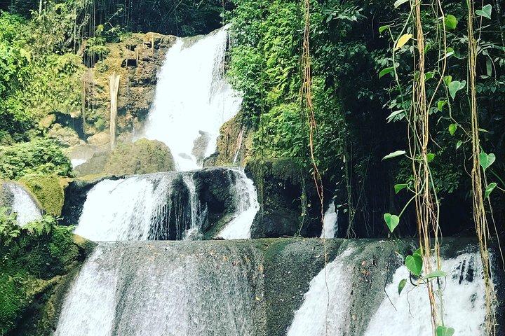 Ys Falls, Floyd’s Pelican Bar, Black River Safari