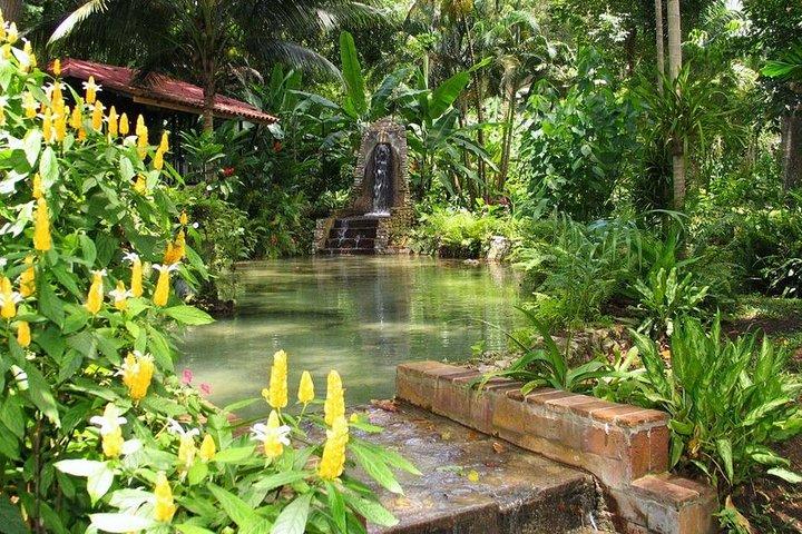 Eco Explorers Waterfall, Rainforest, local Shopping with lunch
