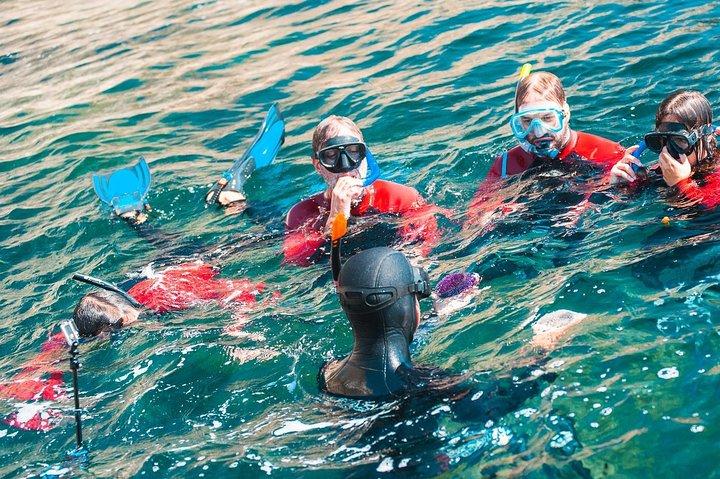 Snorkeling - Marine Park Discovery