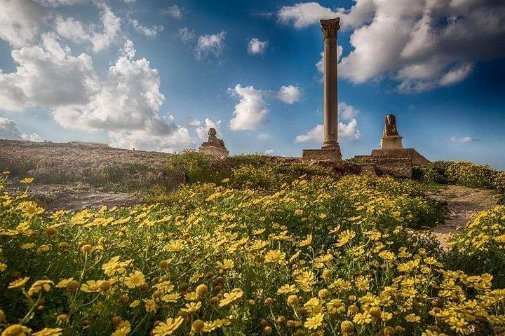 Private Full-Day Alexandria Tour from Cairo