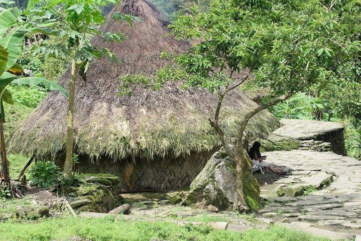 Get to know living indigenous culture in Ciudad Perdida (Santa Marta)